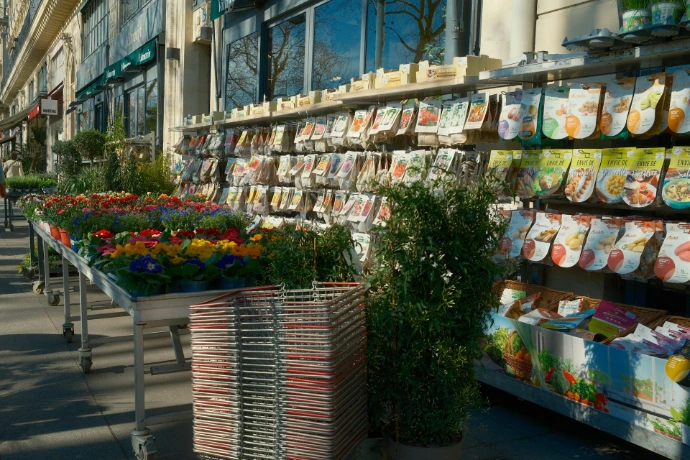 Flowers and plants displayed outside a shop